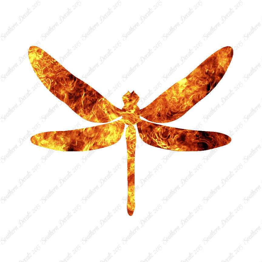 Dragonfly Insect Bug