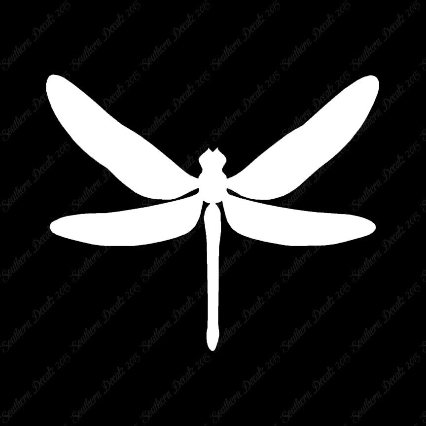 Dragonfly Insect Bug