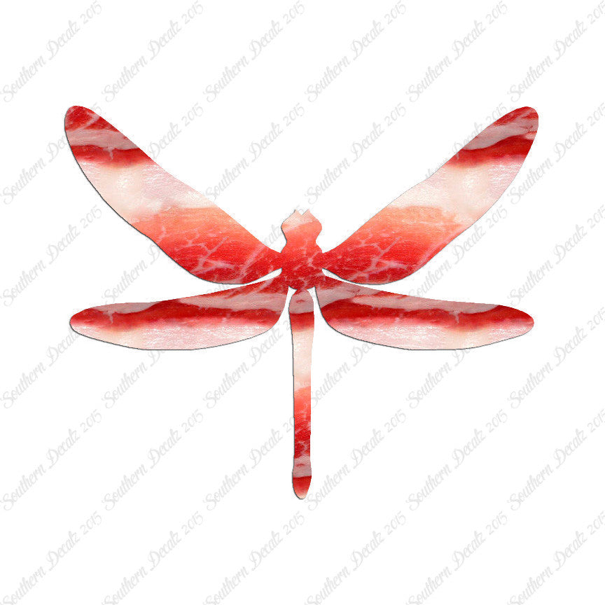 Dragonfly Insect Bug