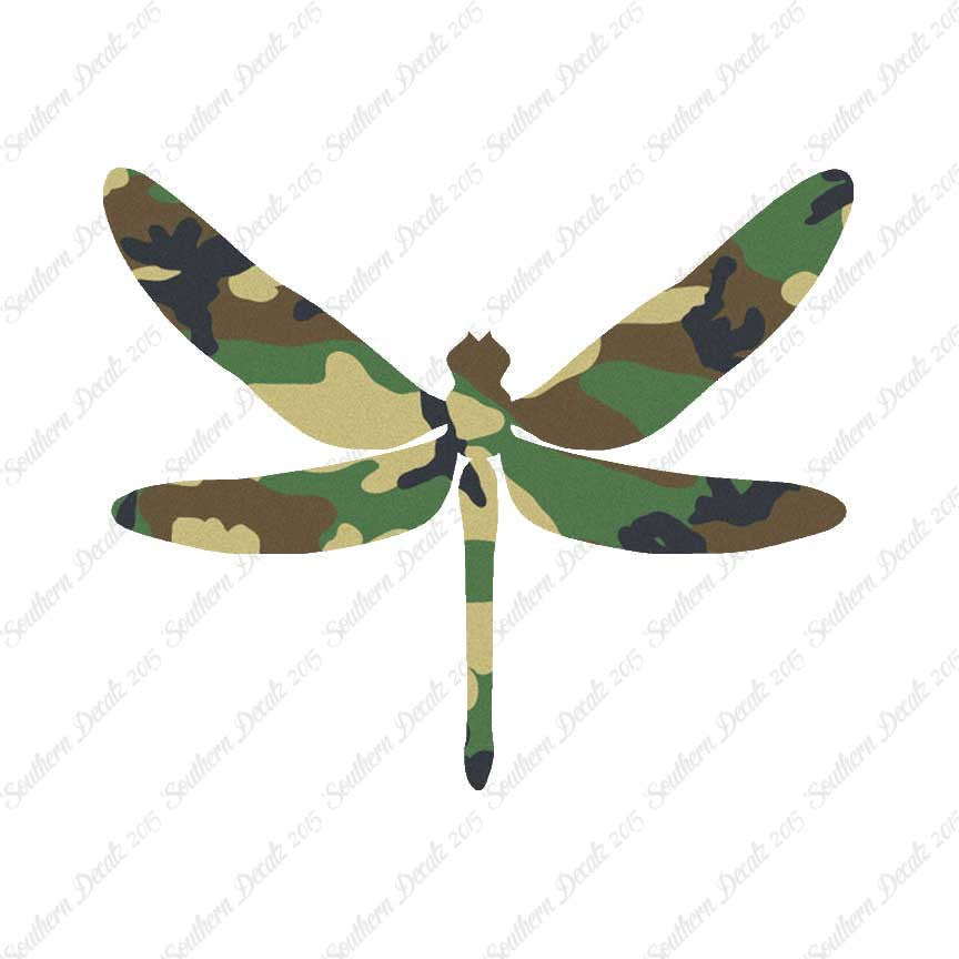 Dragonfly Insect Bug