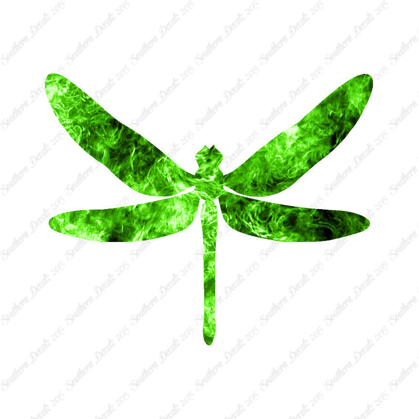 Dragonfly Insect Bug