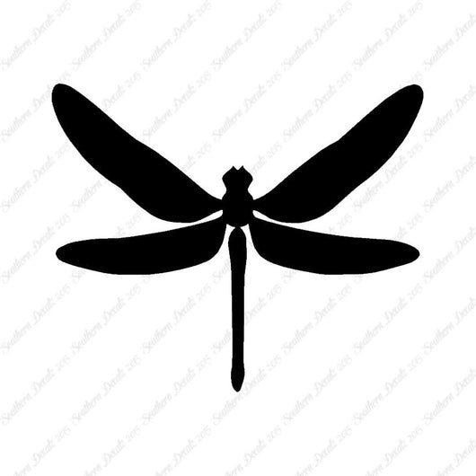 Dragonfly Insect Bug