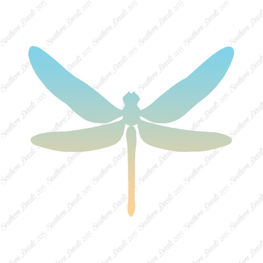 Dragonfly Insect Bug