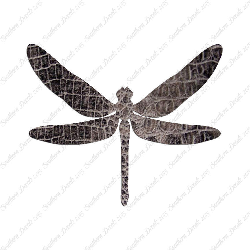 Dragonfly Insect Bug