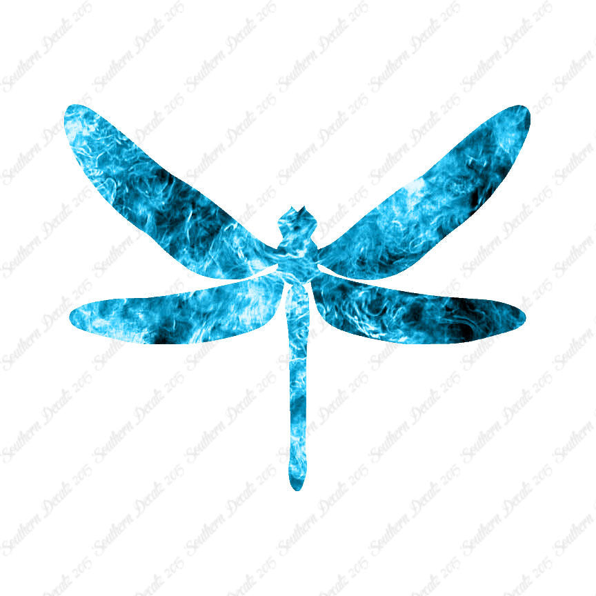 Dragonfly Insect Bug
