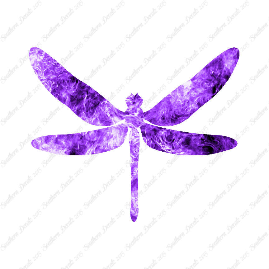 Dragonfly Insect Bug