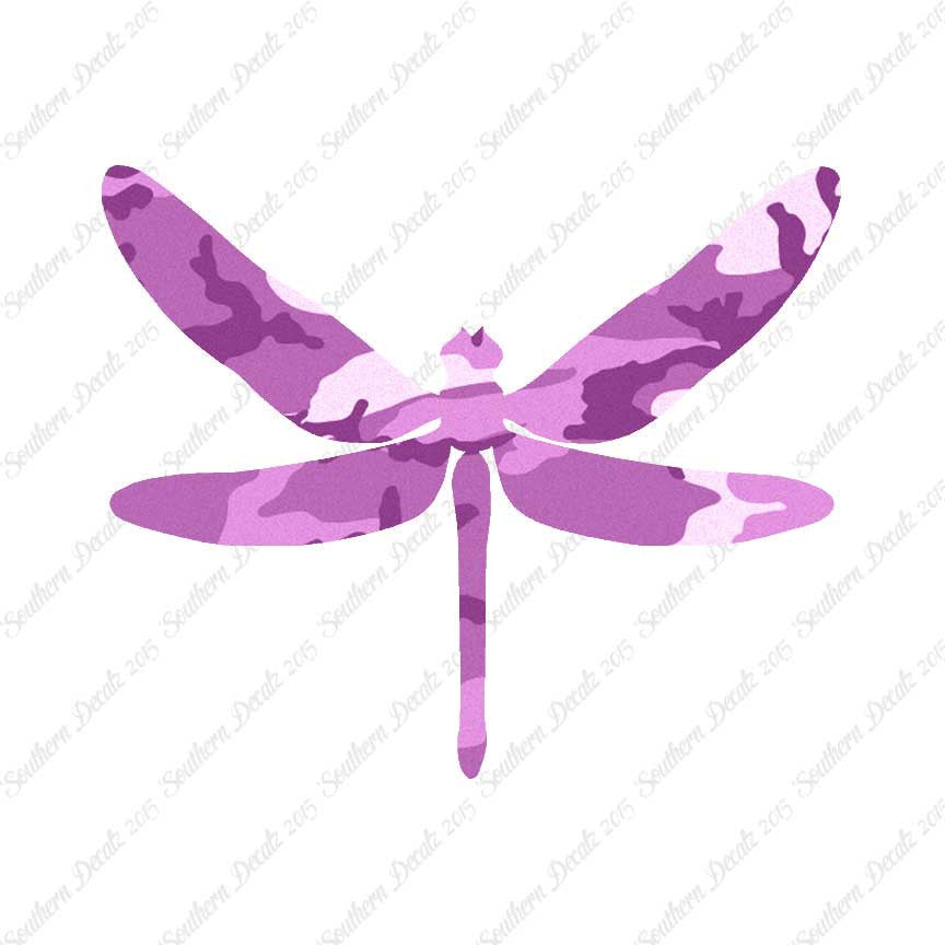 Dragonfly Insect Bug