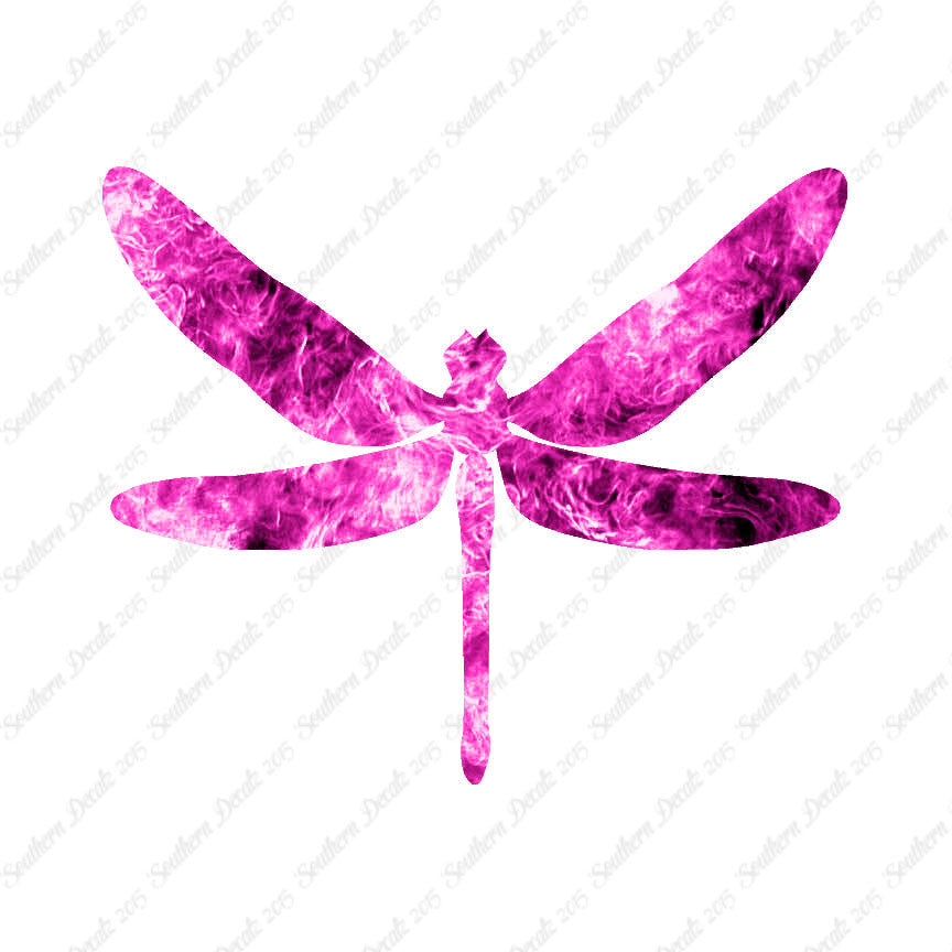 Dragonfly Insect Bug