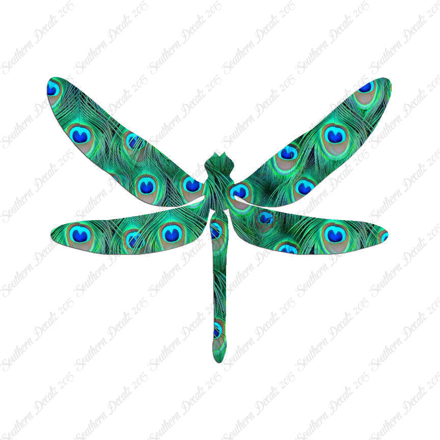 Dragonfly Insect Bug