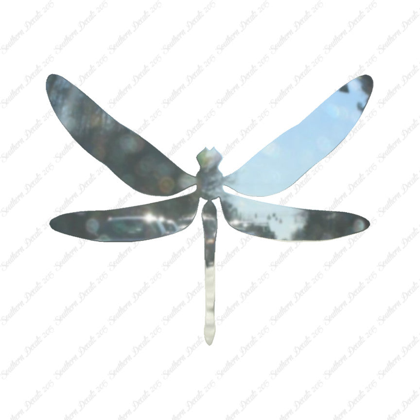Dragonfly Insect Bug
