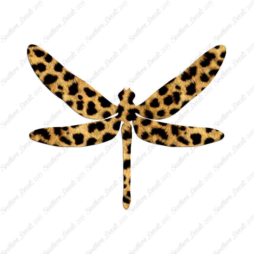 Dragonfly Insect Bug