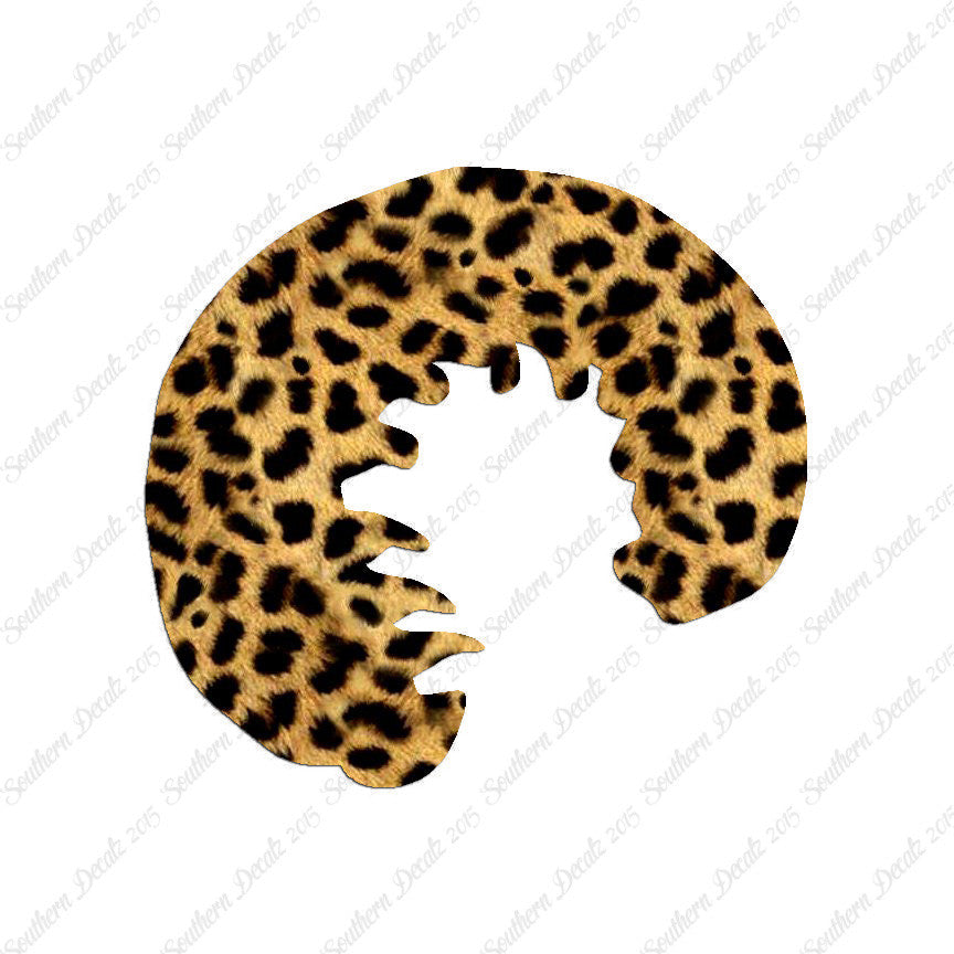 Grub Maggot Insect Pest