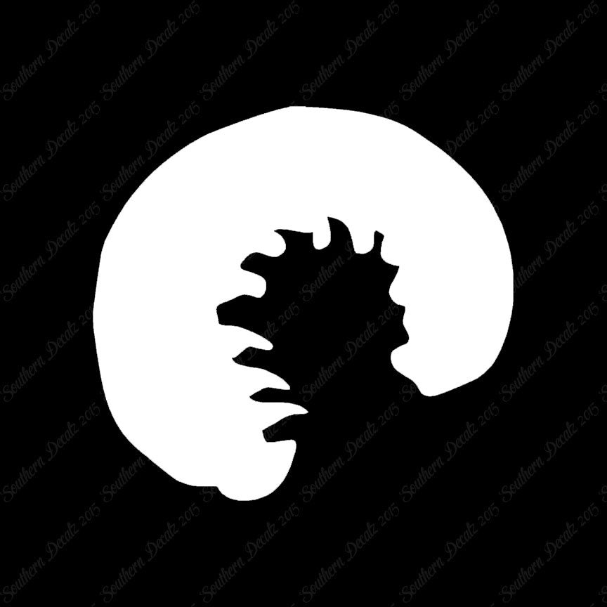Grub Maggot Insect Pest