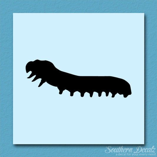 Caterpillar Insect Bug
