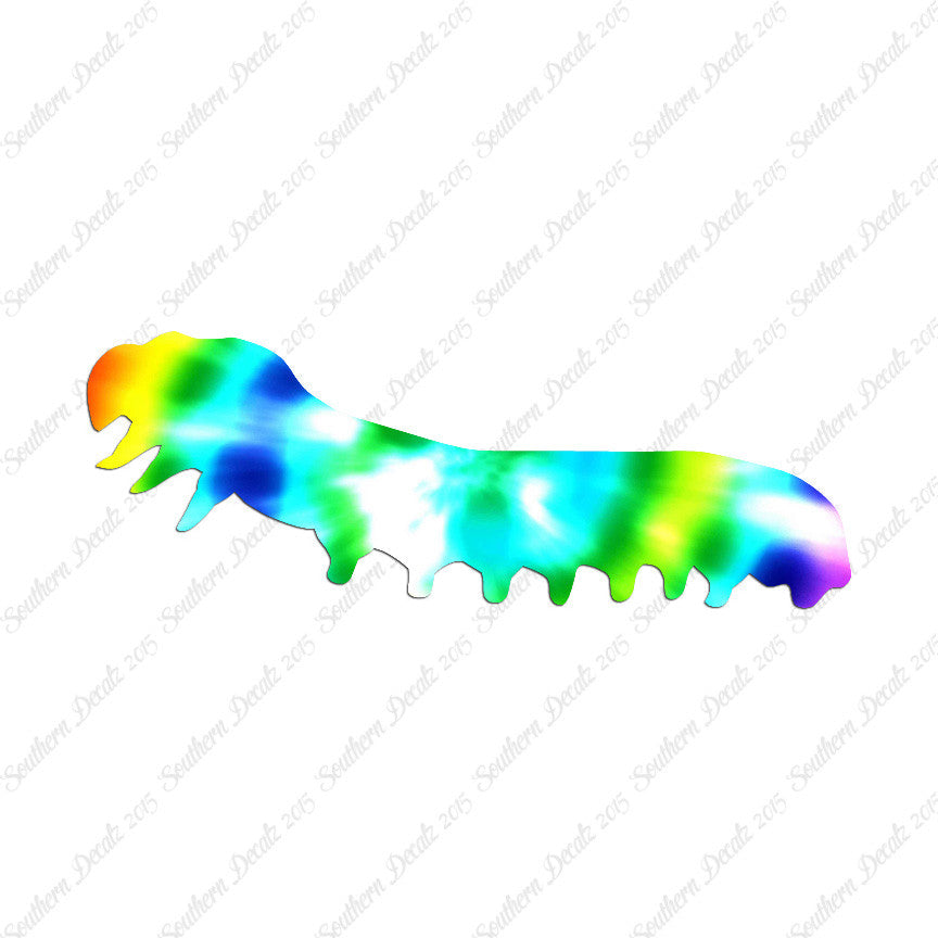 Caterpillar Insect Bug