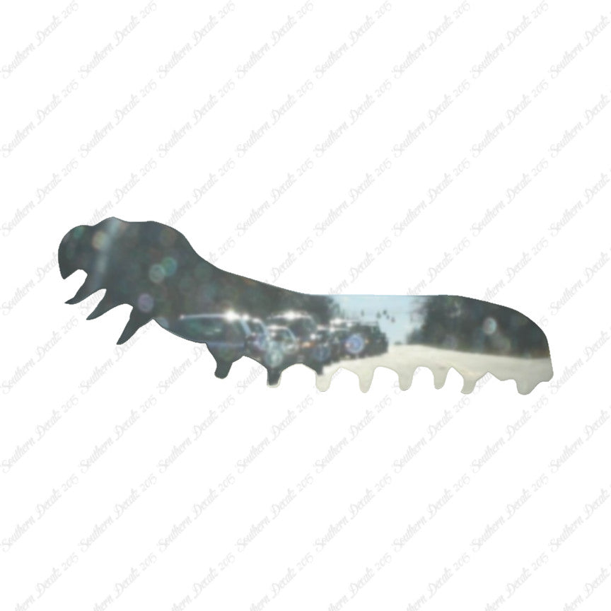Caterpillar Insect Bug