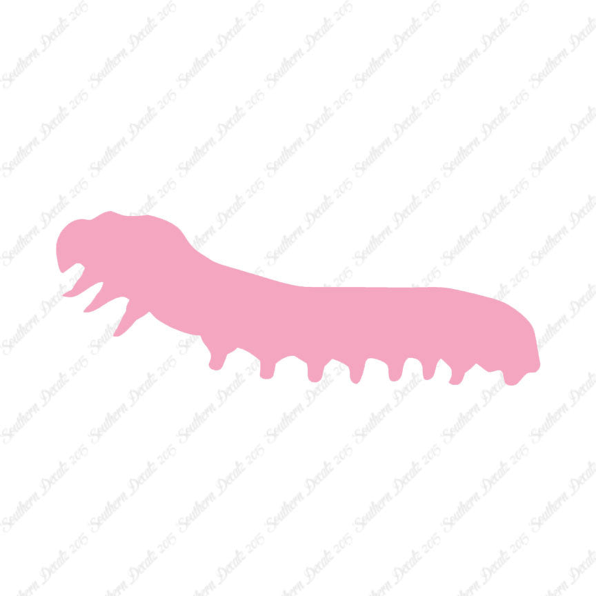 Caterpillar Insect Bug