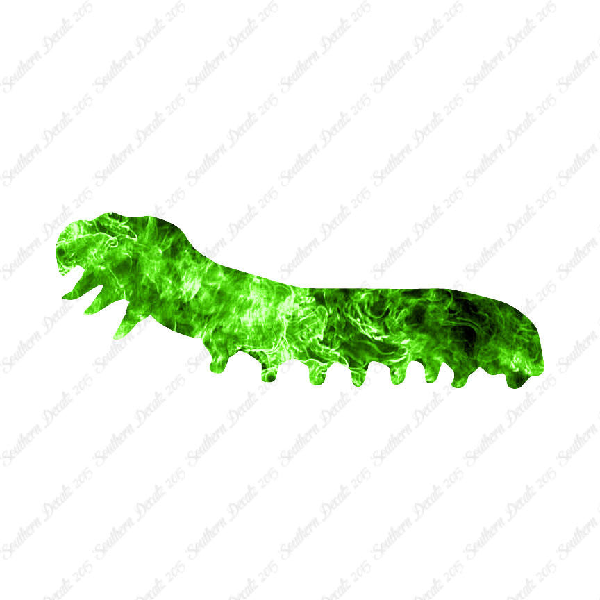 Caterpillar Insect Bug