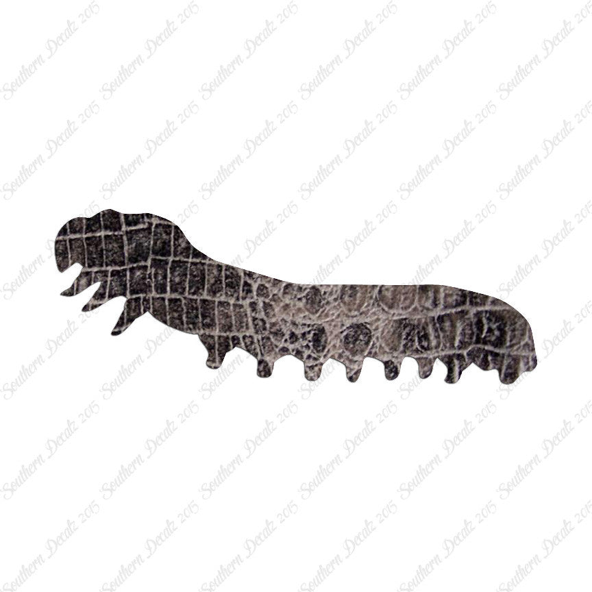 Caterpillar Insect Bug