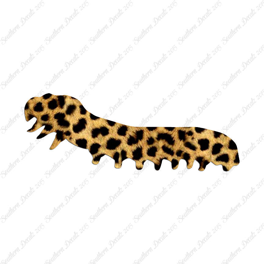 Caterpillar Insect Bug