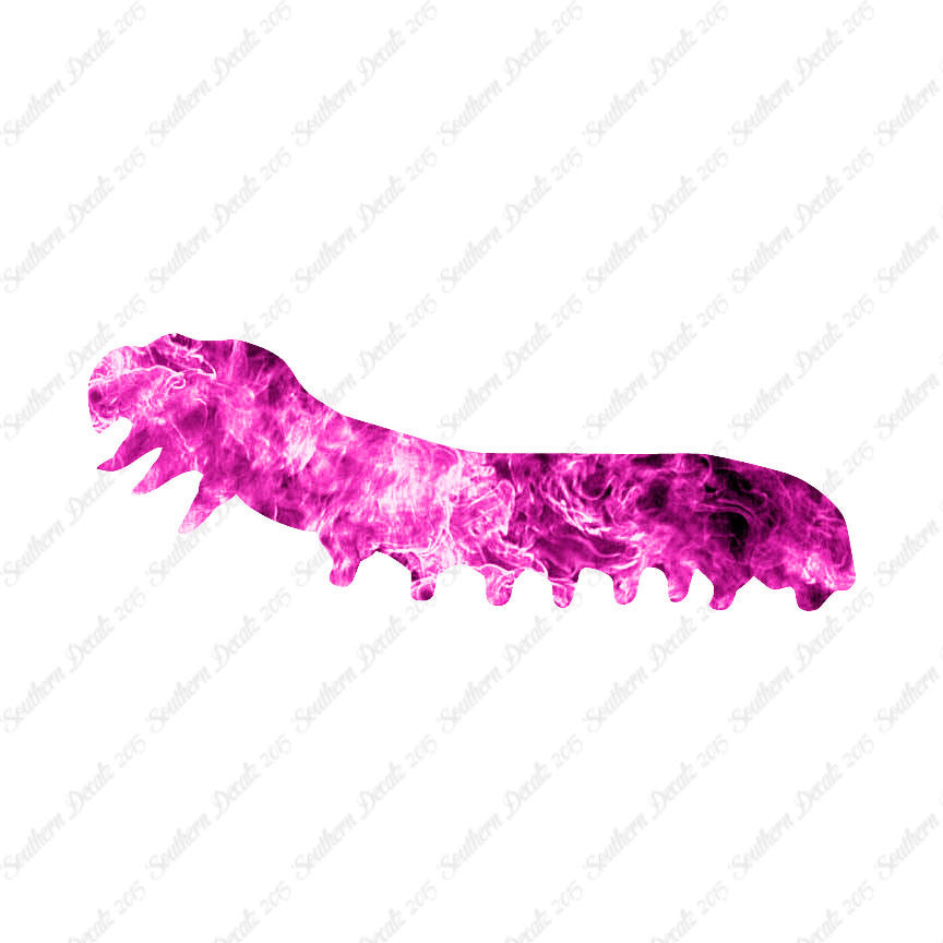 Caterpillar Insect Bug