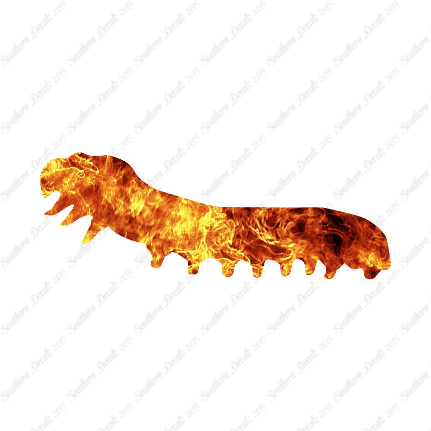 Caterpillar Insect Bug