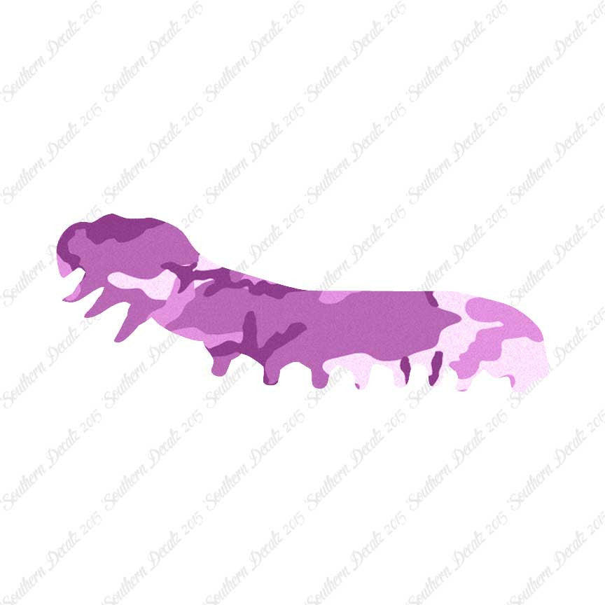 Caterpillar Insect Bug