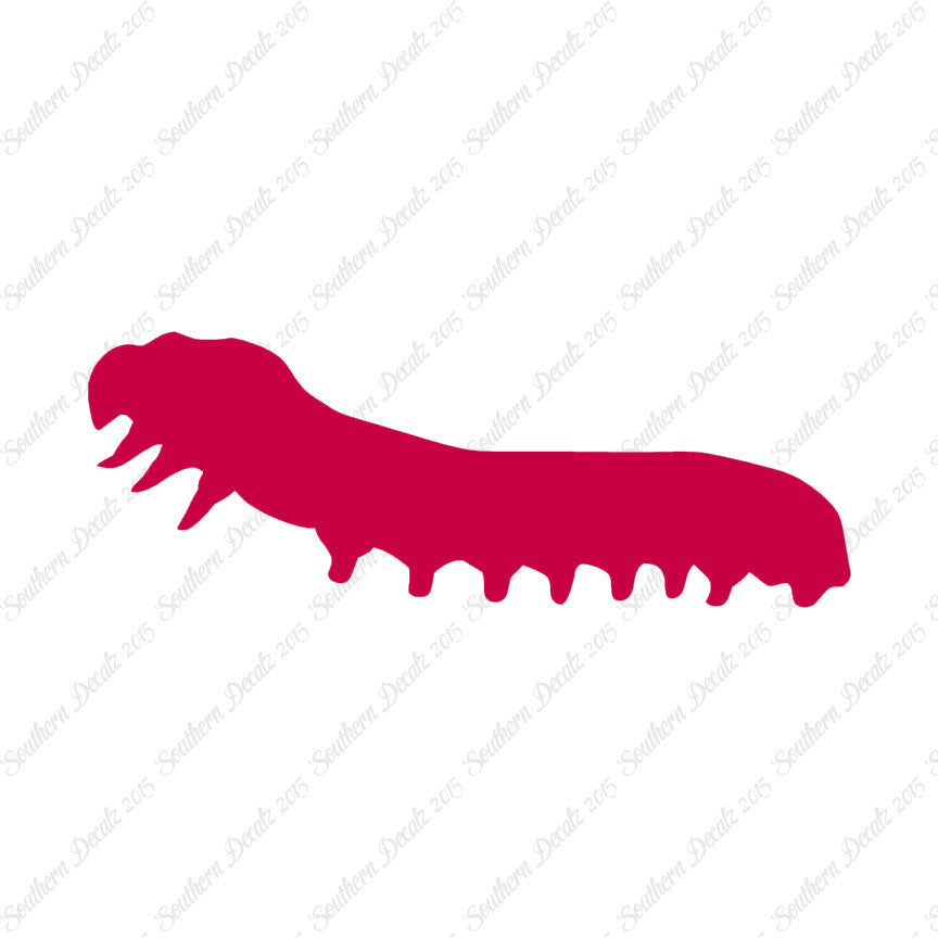 Caterpillar Insect Bug