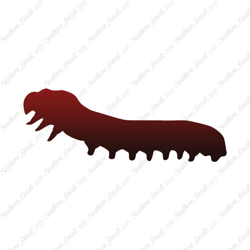 Caterpillar Insect Bug