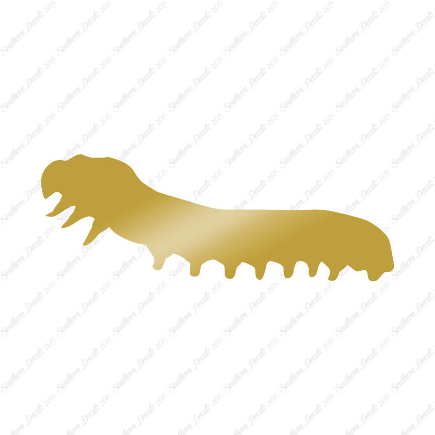 Caterpillar Insect Bug