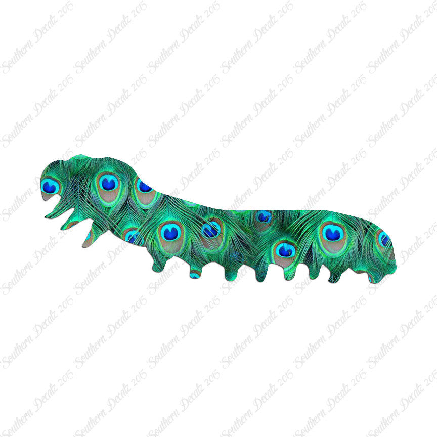Caterpillar Insect Bug