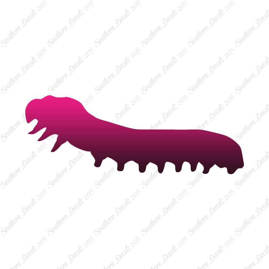 Caterpillar Insect Bug