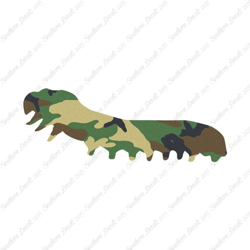 Caterpillar Insect Bug