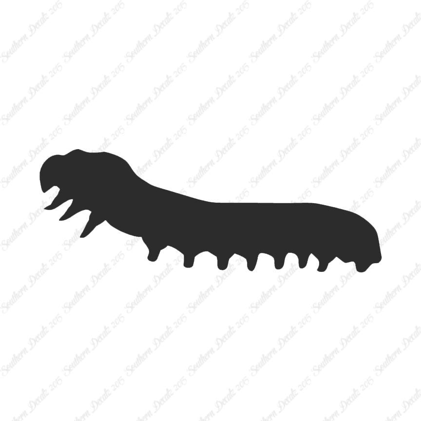 Caterpillar Insect Bug