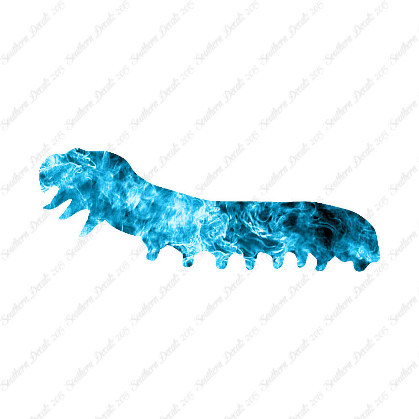Caterpillar Insect Bug