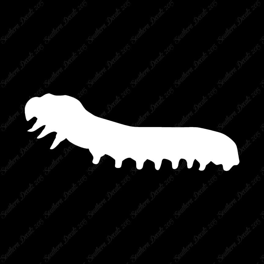 Caterpillar Insect Bug