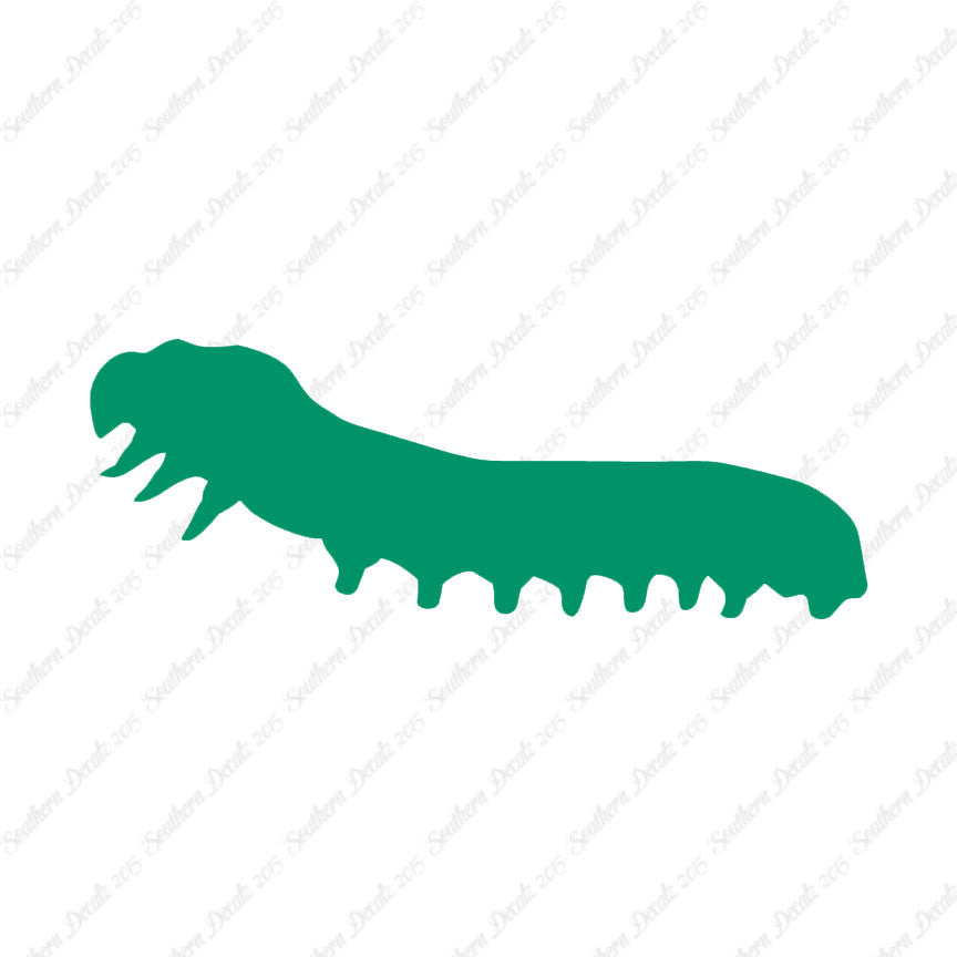Caterpillar Insect Bug