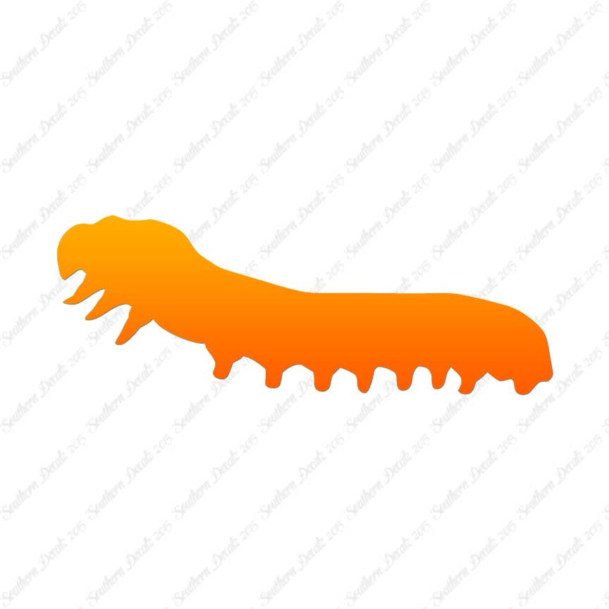 Caterpillar Insect Bug