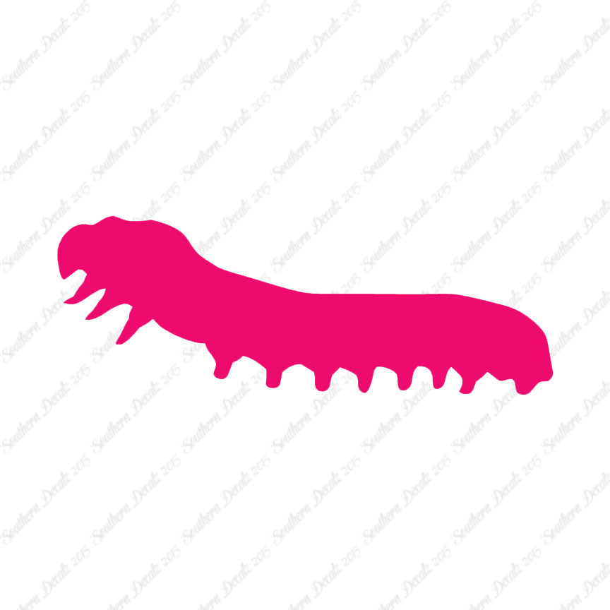 Caterpillar Insect Bug