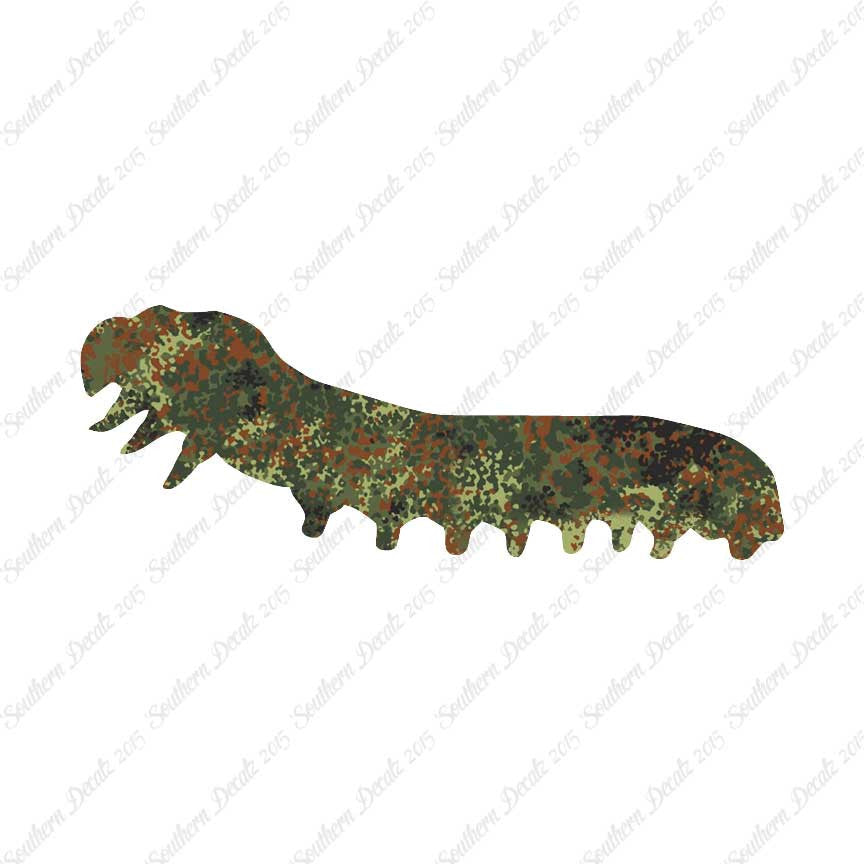 Caterpillar Insect Bug