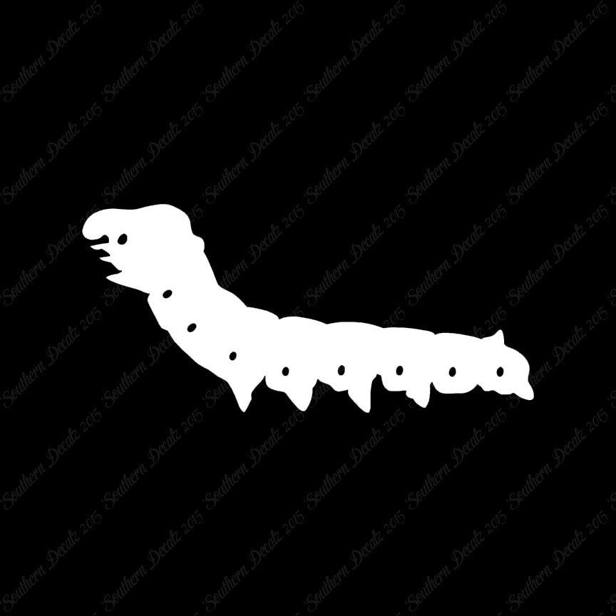 Caterpillar Bug Insect