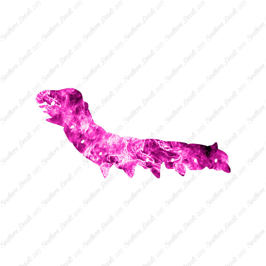 Caterpillar Bug Insect