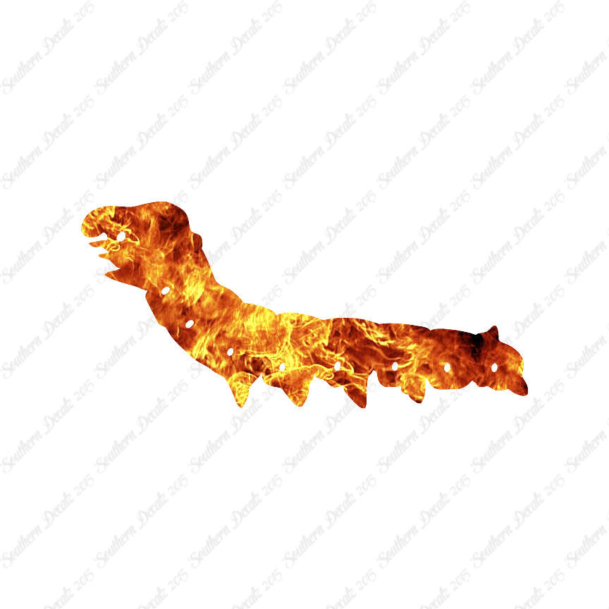 Caterpillar Bug Insect