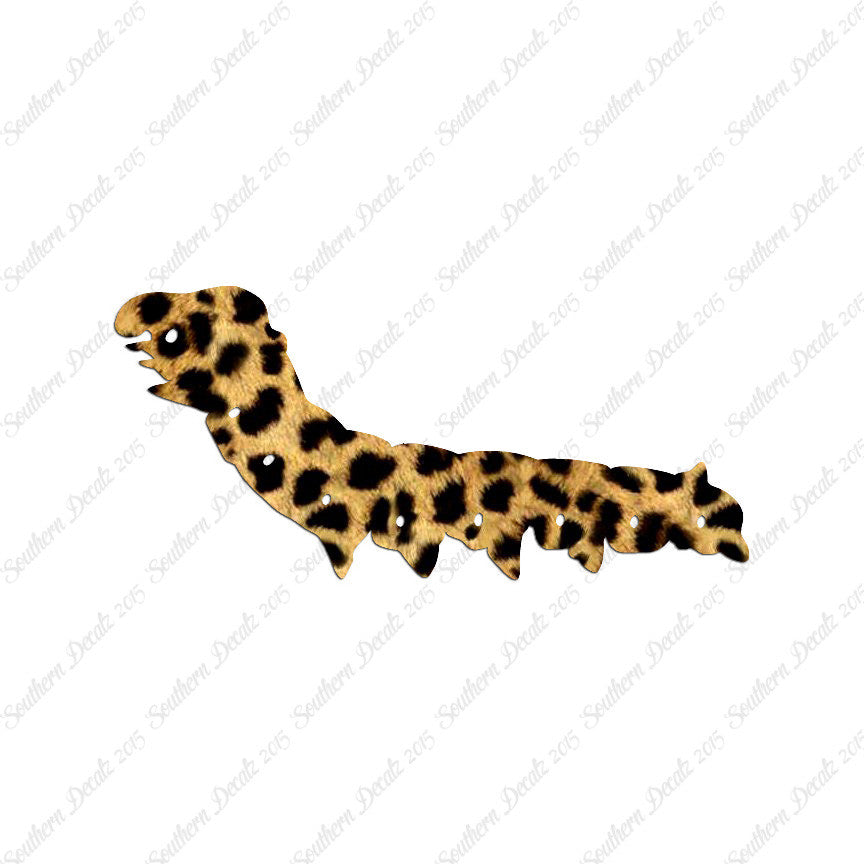 Caterpillar Bug Insect