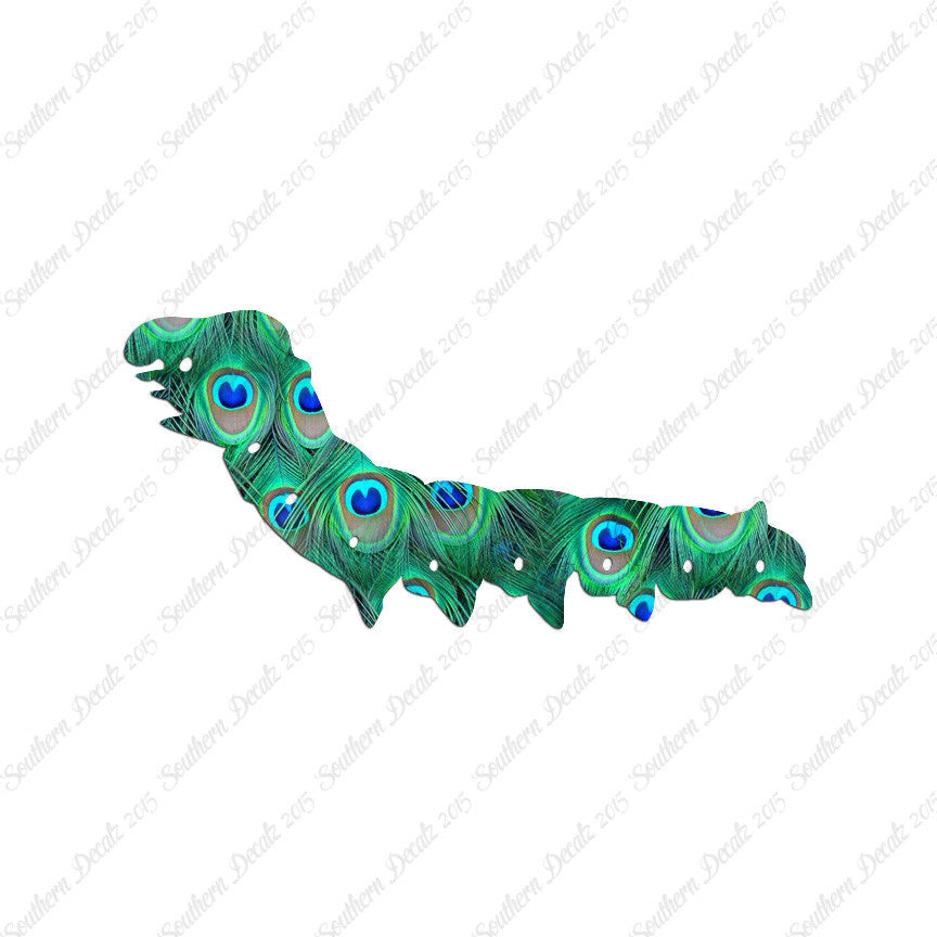 Caterpillar Bug Insect