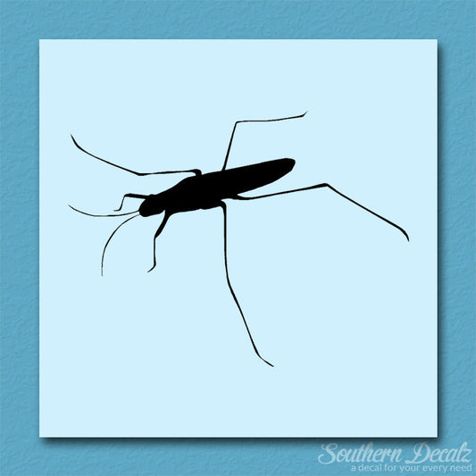 Water Skimmer Insect Bug