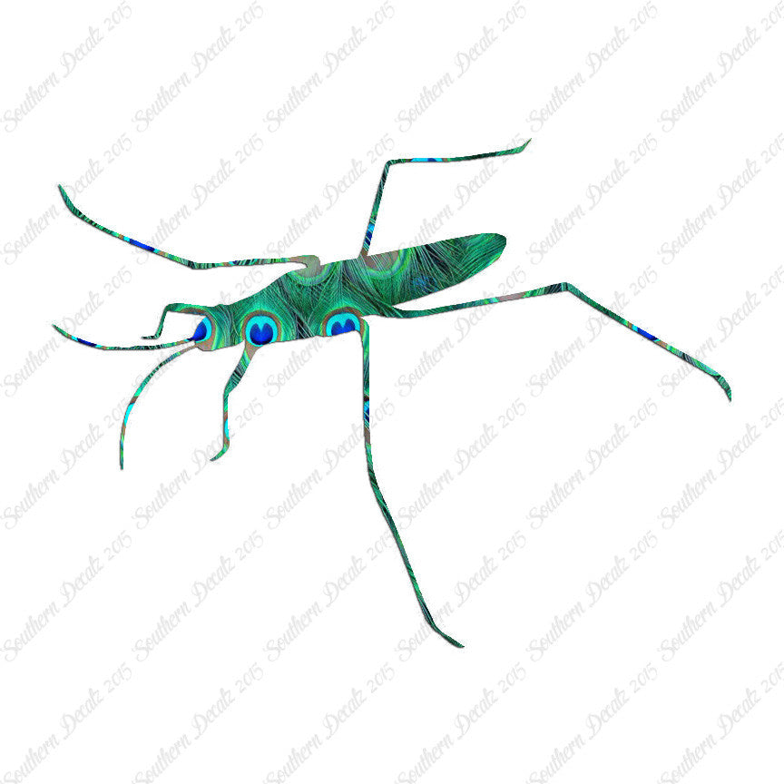 Water Skimmer Insect Bug