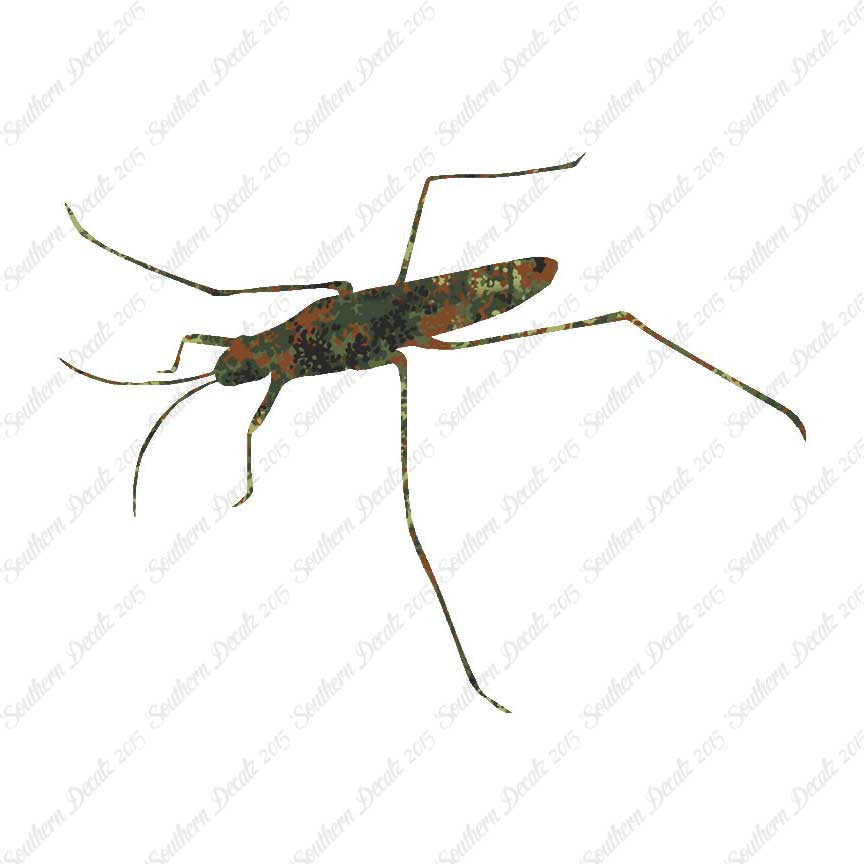 Water Skimmer Insect Bug
