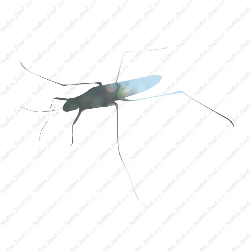 Water Skimmer Insect Bug
