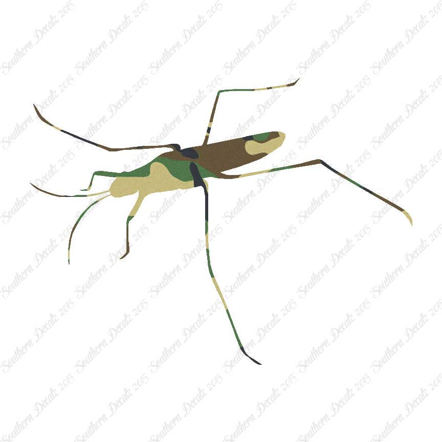 Water Skimmer Insect Bug